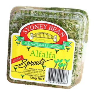 Alfalfa Sprouts