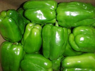 Capsicum Green