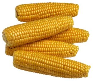 Corn
