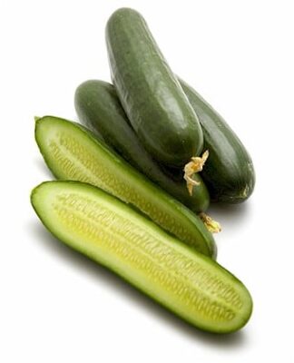 Cucumber Lebanese