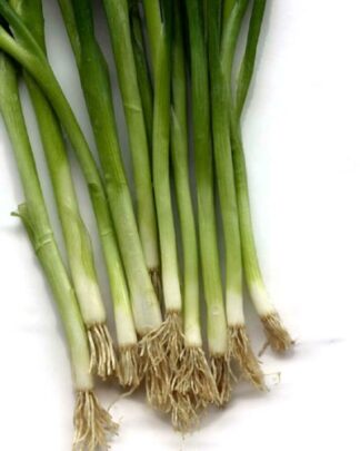 Shallots