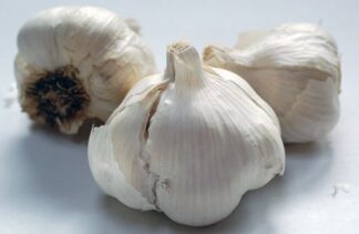 Garlic - each - Argentinian