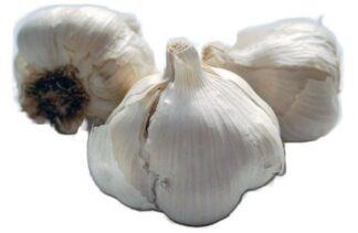 Garlic - each - Argentinian