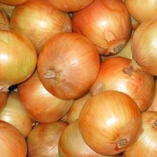 Onions - Brown 500g