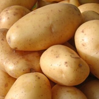 Potatoes - Washed 1kg
