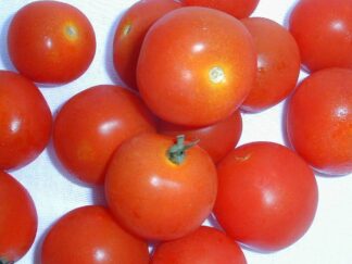 Tomato - 500g