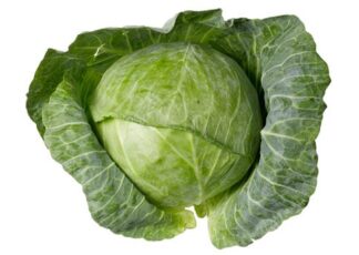 Cabbage - Quarter