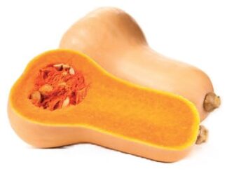 Pumpkin - Butternut - Whole