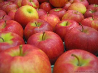 Apples - Pink Lady 1kg