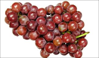 Grapes - Red - 500g