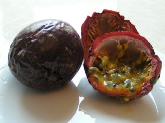 Passionfruit - each