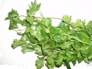Parsley - Continental