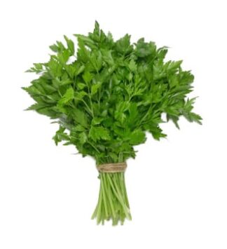 Parsley - Continental