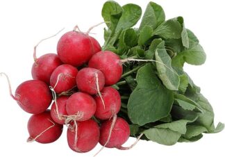 Radish