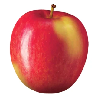 Apple - Ambrosia 1kg